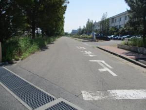 案内道路写真⑥