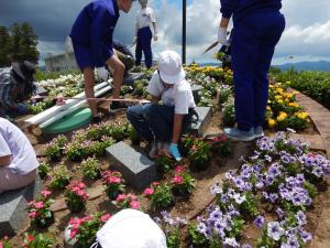 花時計での花植えの様子