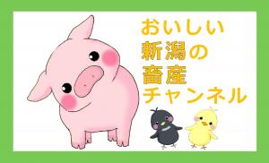おいしい新潟の畜産チャンネル