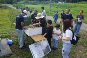 新保川注水口　ジオラマ