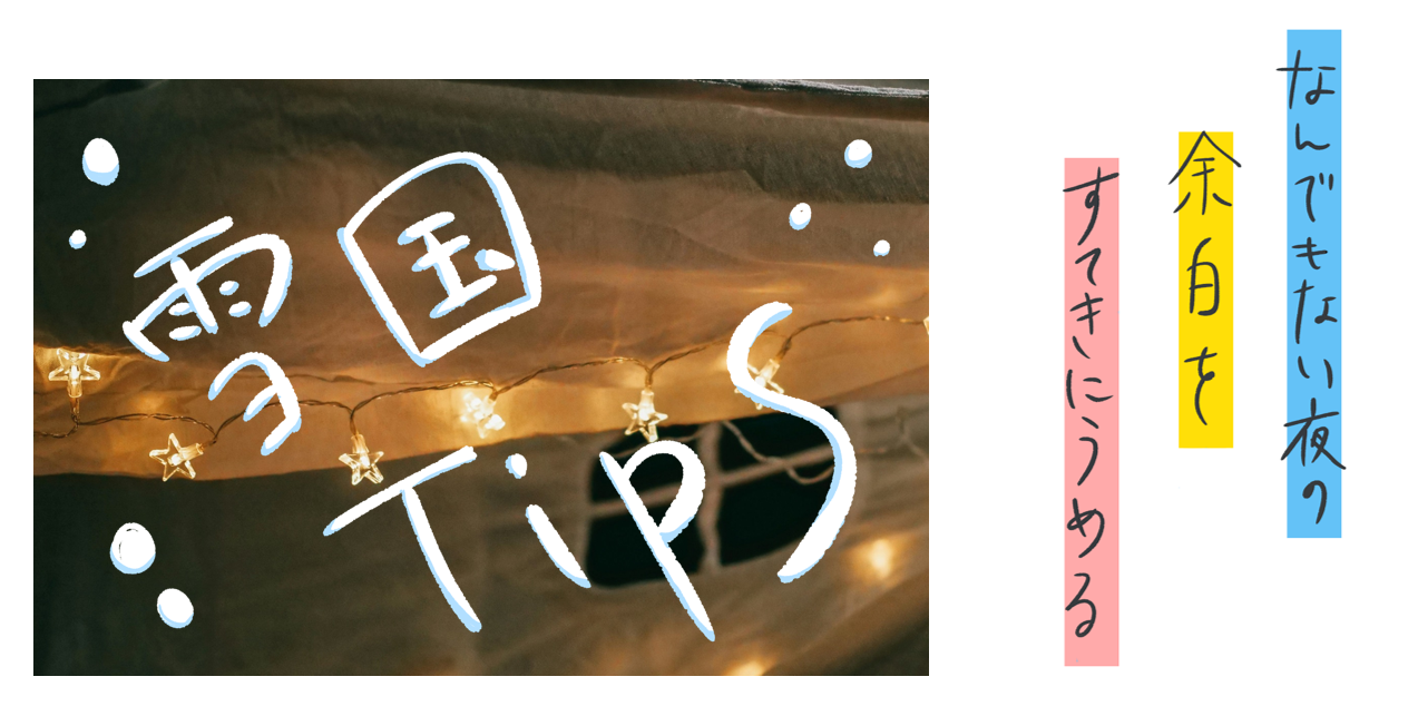 なんでもない夜の余白をすてきにうめる　雪国Tips