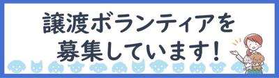 譲渡ボランティア