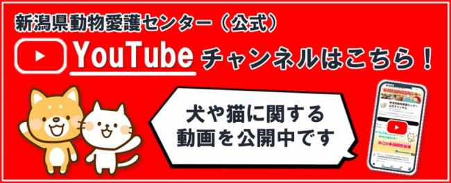 YouTubeはこちら