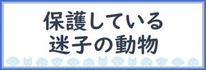 ほごしているまいごのどうぶつ