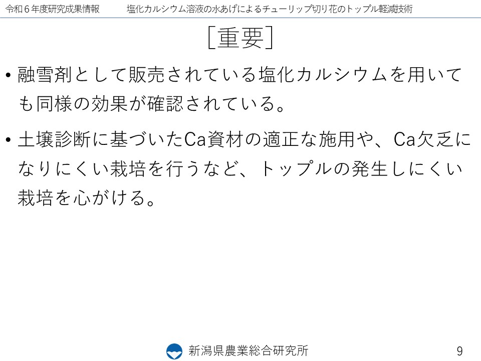 スライド9