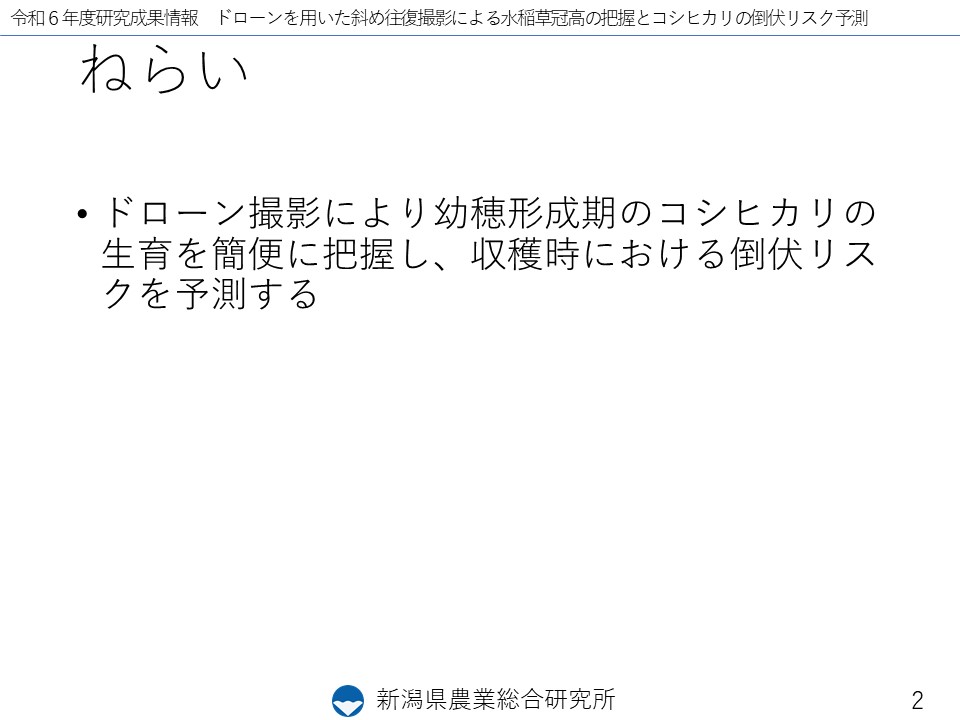 スライド2