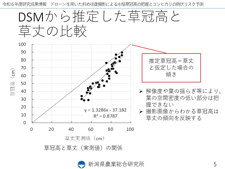 スライド5