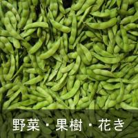 野菜・果樹・花卉