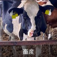 畜産