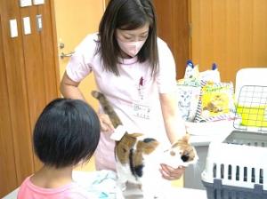 ねこ