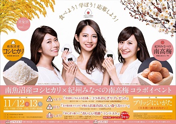 11/12・13にブリッジにいがた(東京都中央区日本橋)で行われたイベントチラシの画像