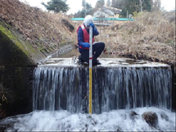 調査の様子の画像