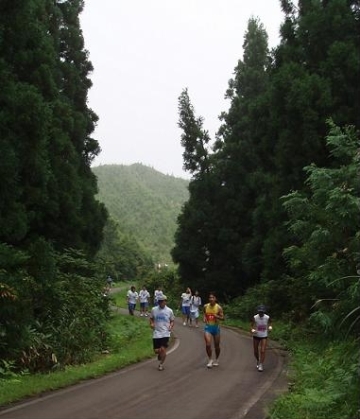 山岳マラソンのコースとしても活用されてますの画像