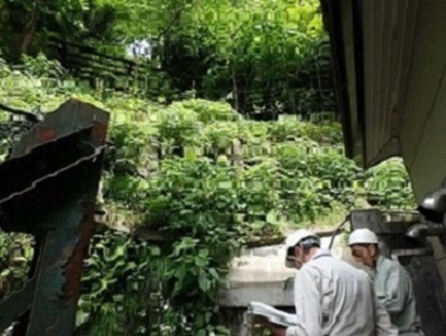 治山施設（なだれ柵）の点検状況の画像