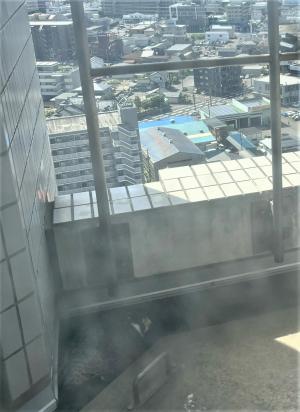 壁際で小さくなっているハヤブサ