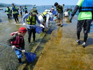 番神自然水族館2