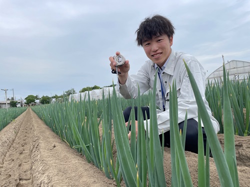 画像_生育調査の様子