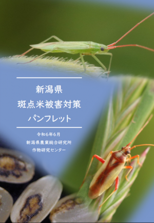 斑点米被害対策パンフレット