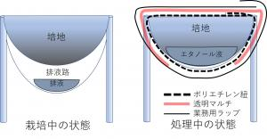 いちご高設培地の還元処理実施マニュアル