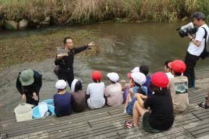 水辺の学校