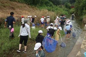水辺の学校２