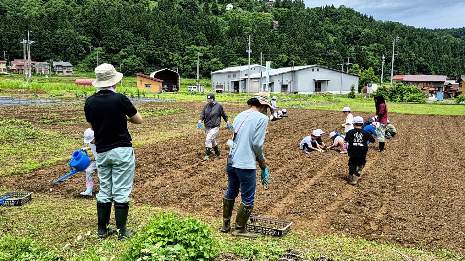 一緒に大豆の芽を植えます