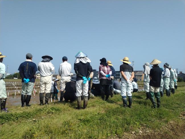 一斉田植え説明を聞く職員