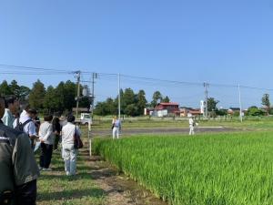 新潟135号展示ほ