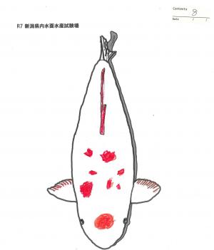 塗り絵養殖課長賞