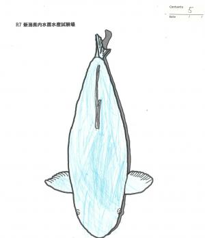 塗り絵病理環境課長賞