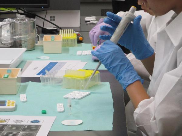 インフルエンザ簡易検査