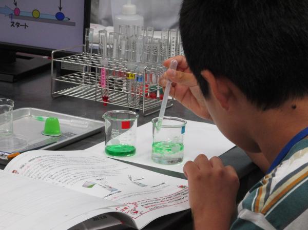 食べ物に使われている「いろ」を見てみよう！