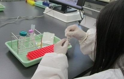 クドアを探せ！