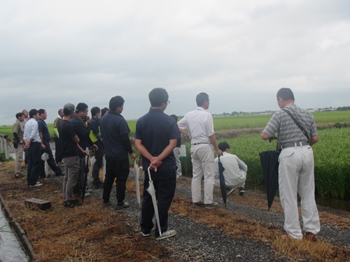 画像_雨模様のなかでの現地研修