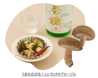 八色しいたけ２