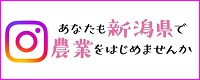 あなたも新潟県で農業をはじめませんか