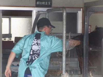 直腸から子宮の状態をみています