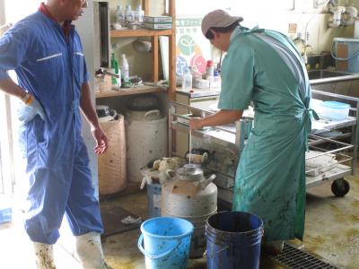 人工授精の準備の練習。液体窒素から精液ストローを取り出します