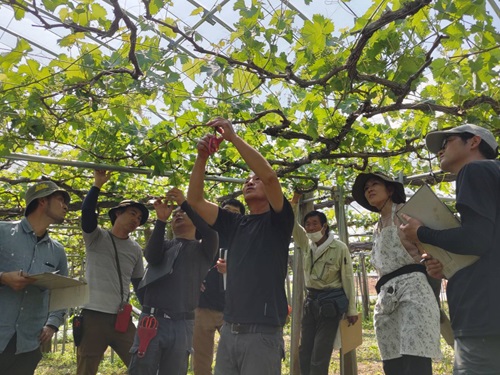 画像_塾長の鋏の先を見つめる塾生達
