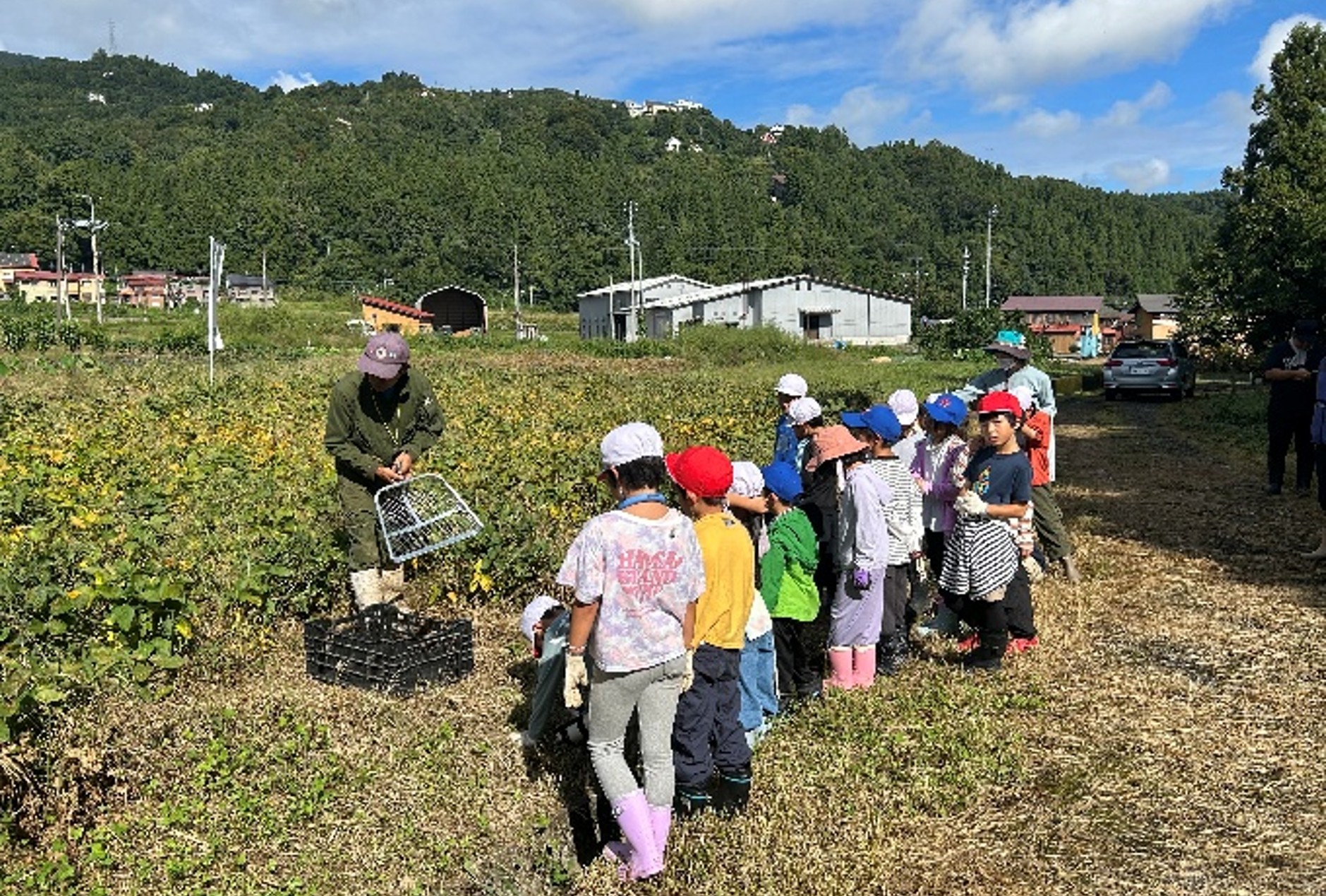 大豆畑に集まるこどもたち