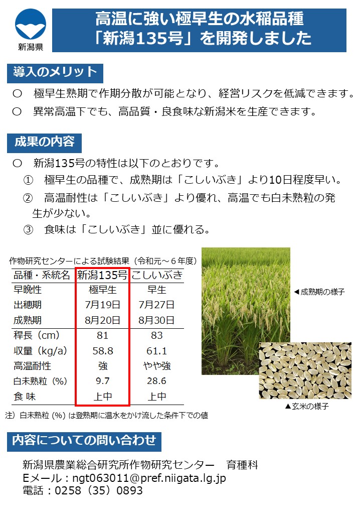 高温に強い極早生の水稲品種新潟135号を開発しました