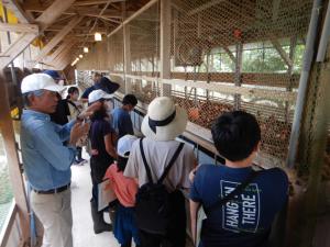 画像　鶏舎にて