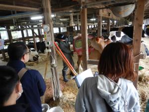 画像　搾乳牛舎での説明