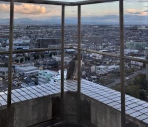 バルコニーで休むハヤブサ