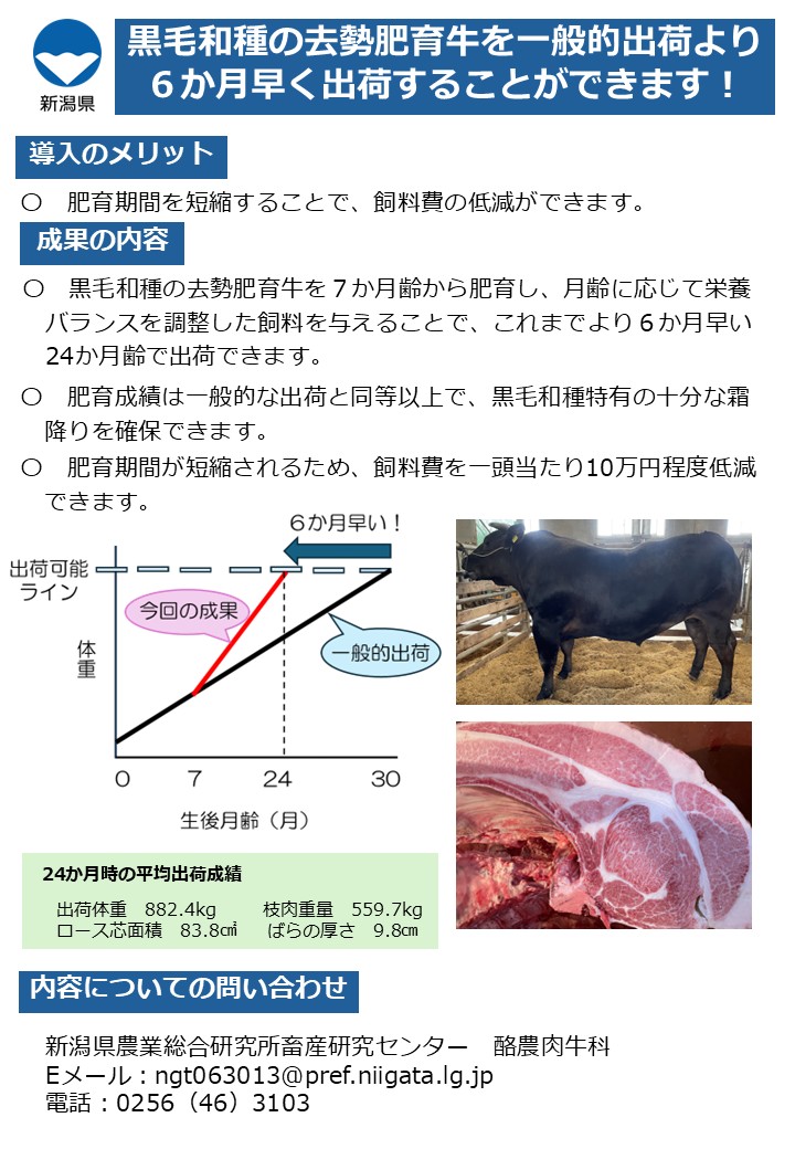 黒毛和種の去勢肥育牛を一般出荷より6か月早く出荷することができます！