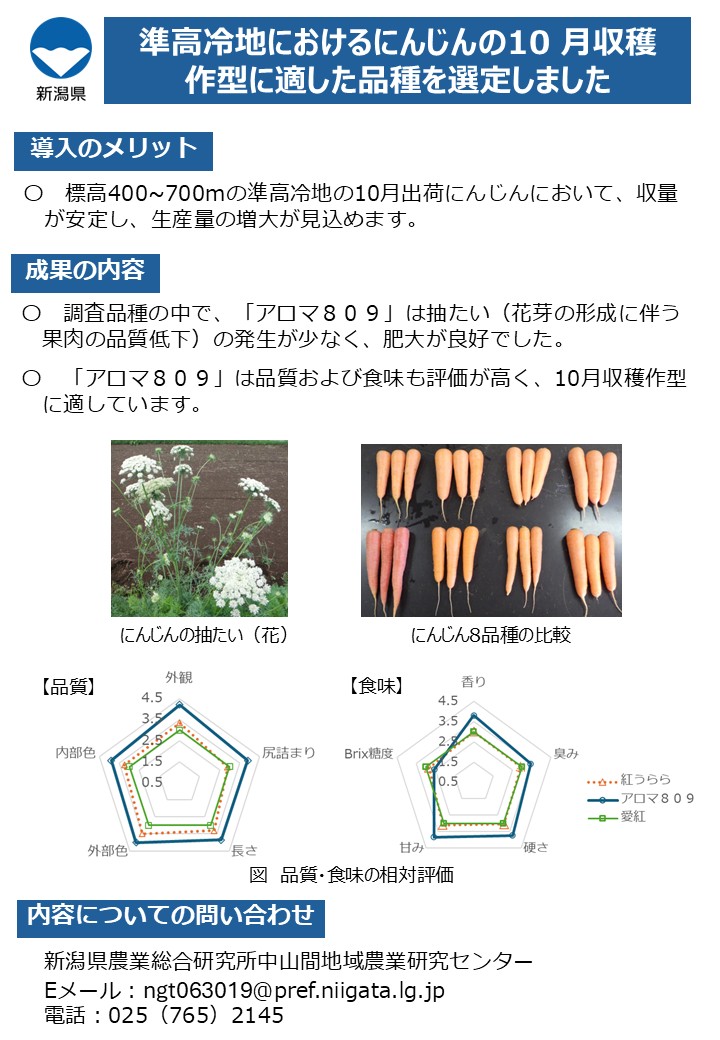 準高冷地におけるにんじんの10月収穫作型に適した品種を選定しました