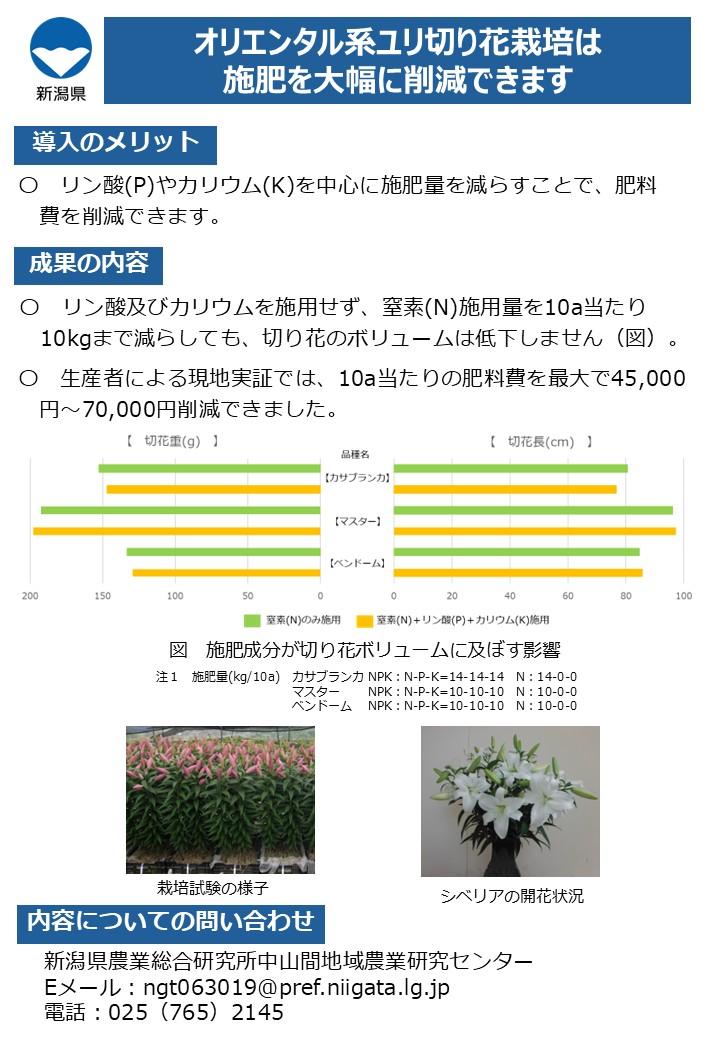 オリエンタル系ユリ切り花栽培は施肥を大幅に削減できます