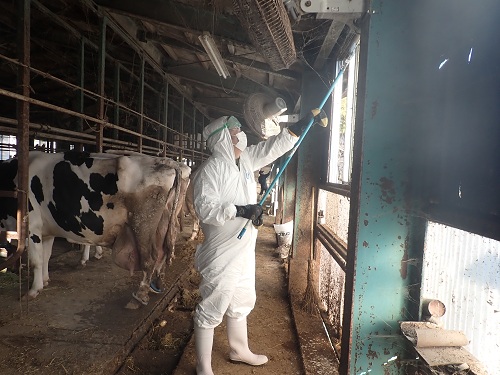 2512画像_窓にドロマイトを塗っています