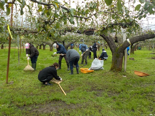 2601画像_園内に落ちた葉を丁寧に集めてくれました