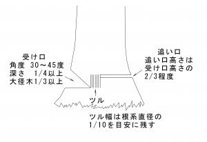 伐倒標準図